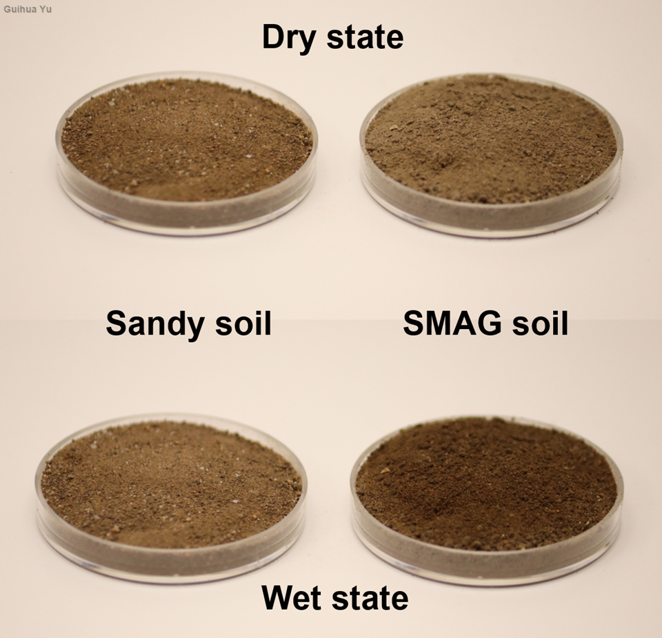 The difference between self-watering soil (SMAG soil) and normal soil in wet and dry states.